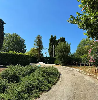 Foto annuncio 22