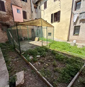 Foto annuncio 7