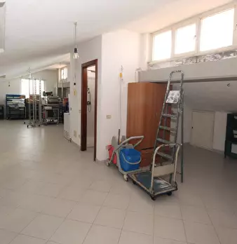 Foto annuncio 7