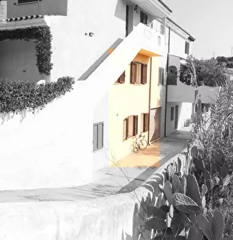 Foto annuncio 31