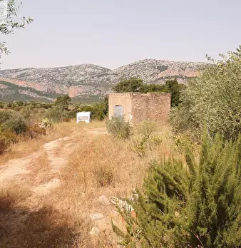 Foto annuncio 34