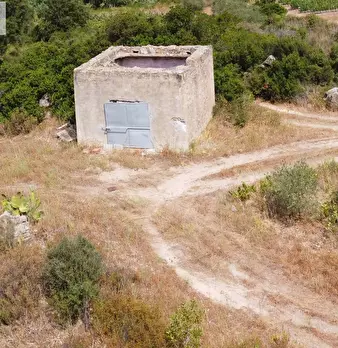 Foto annuncio 36