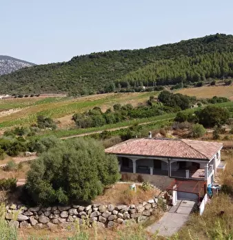 Foto annuncio 2