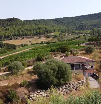 Foto annuncio 43