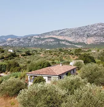Foto annuncio 1