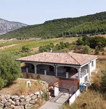 Foto annuncio 48