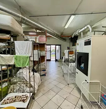 Foto annuncio 15