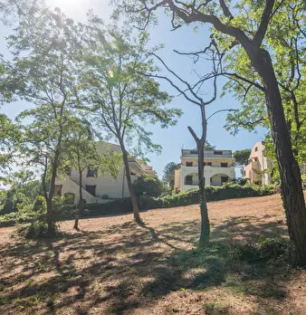 Foto annuncio 8