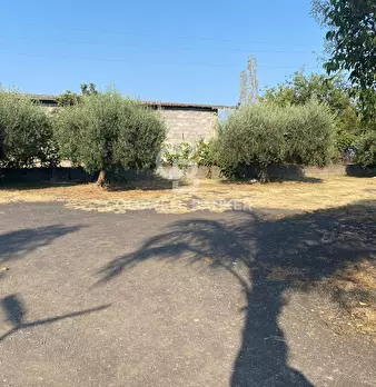 Foto annuncio 22