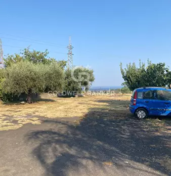 Foto annuncio 24