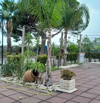 Foto annuncio 7