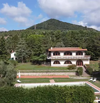 Foto annuncio 6