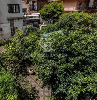 Foto annuncio 45