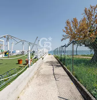 Foto annuncio 60