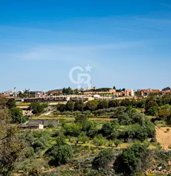 Foto annuncio 12