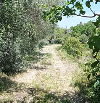 Foto annuncio 7
