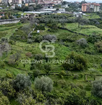 Foto annuncio 18