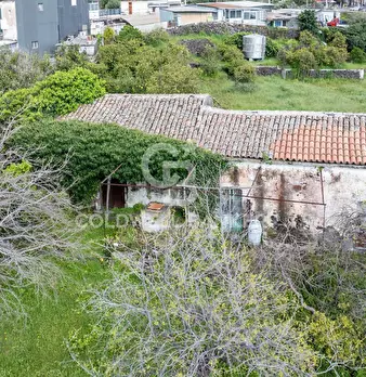 Foto annuncio 19