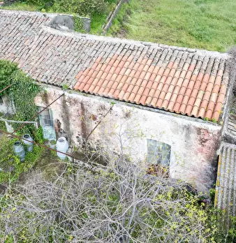 Foto annuncio 21
