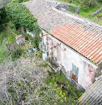 Foto annuncio 22