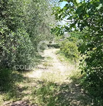 Foto annuncio 6