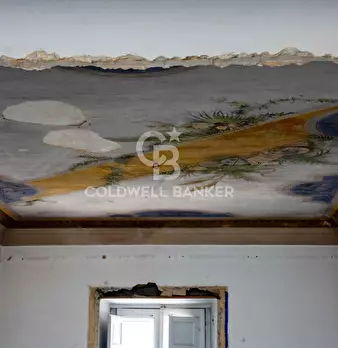 Foto annuncio 56
