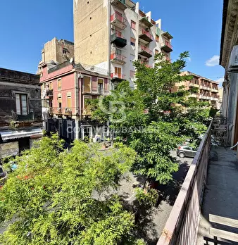Foto annuncio 24