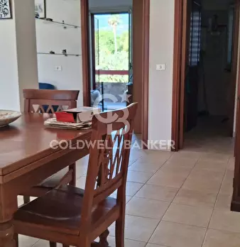 Foto annuncio 15