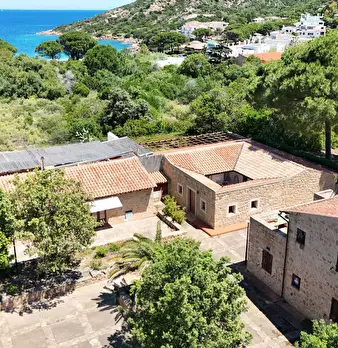 Foto annuncio 5