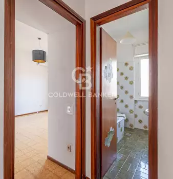 Foto annuncio 37