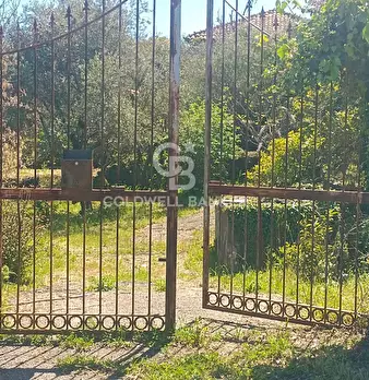 Foto annuncio 1