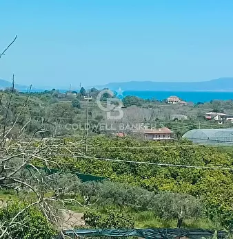 Foto annuncio 7