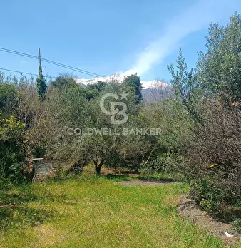 Foto annuncio 13