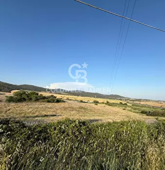 Foto annuncio 12
