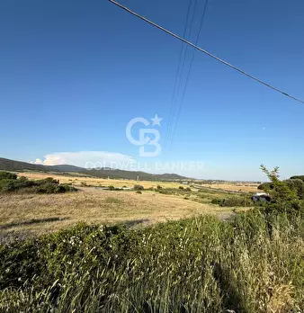Foto annuncio 13