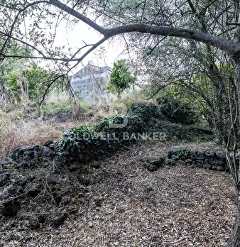 Foto annuncio 12