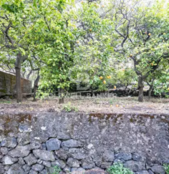 Foto annuncio 18