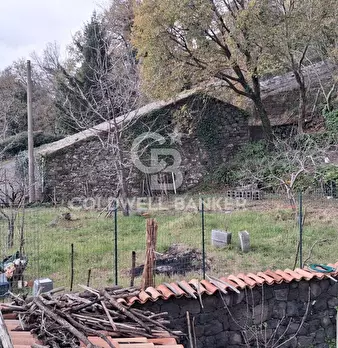 Foto annuncio 16