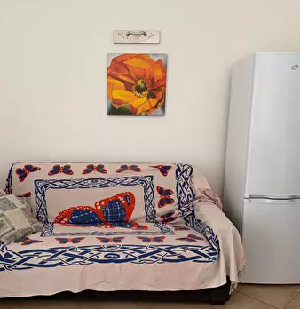 Foto annuncio 10