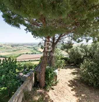 Foto annuncio 11