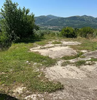 Foto annuncio 15