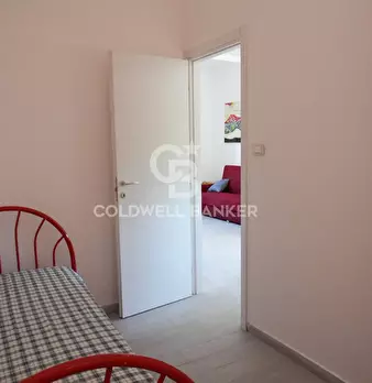 Foto annuncio 11