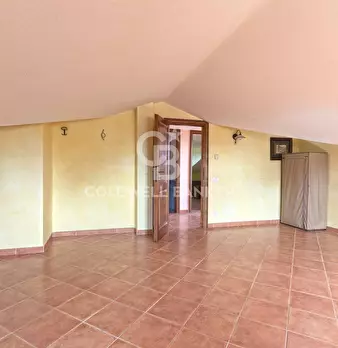 Foto annuncio 27