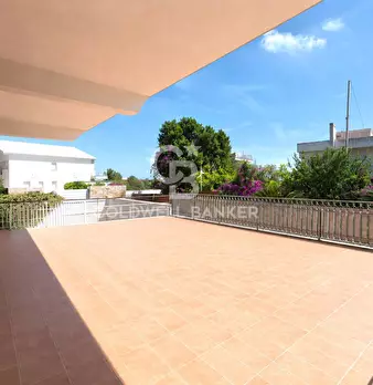 Foto annuncio 7
