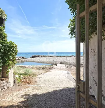 Foto annuncio 36