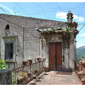 Foto annuncio 9