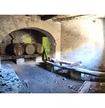 Foto annuncio 18