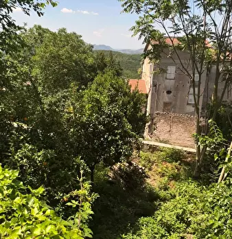 Foto annuncio 3