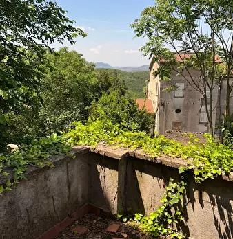 Foto annuncio 7