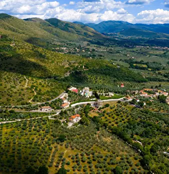 Foto annuncio 2